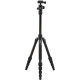 Алюмінієвий штатив Benro (KIT) FTR09AB00GBLK
